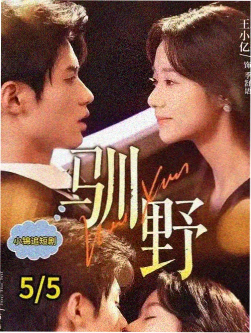 旧城手记纪录片封面